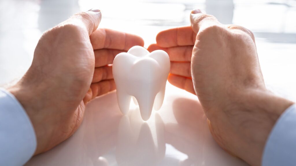 Une maquette de dent