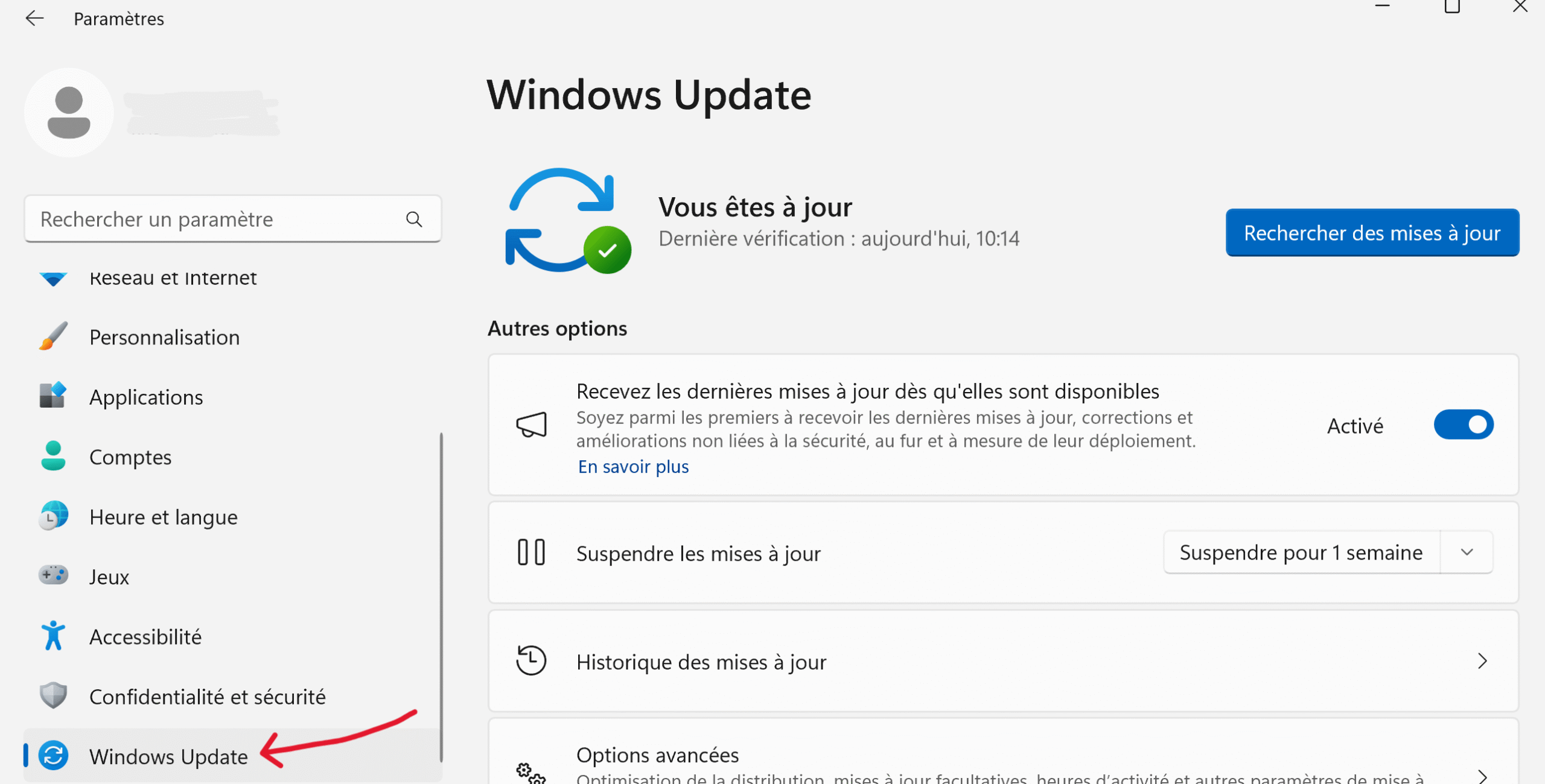 Mis-à-jour pilote graphique
