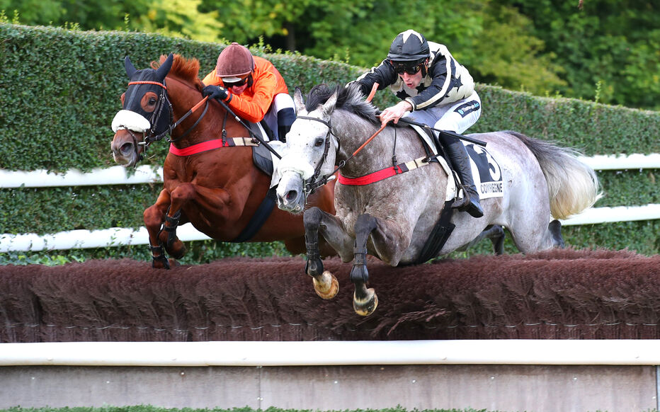 cavaliers en pleine course